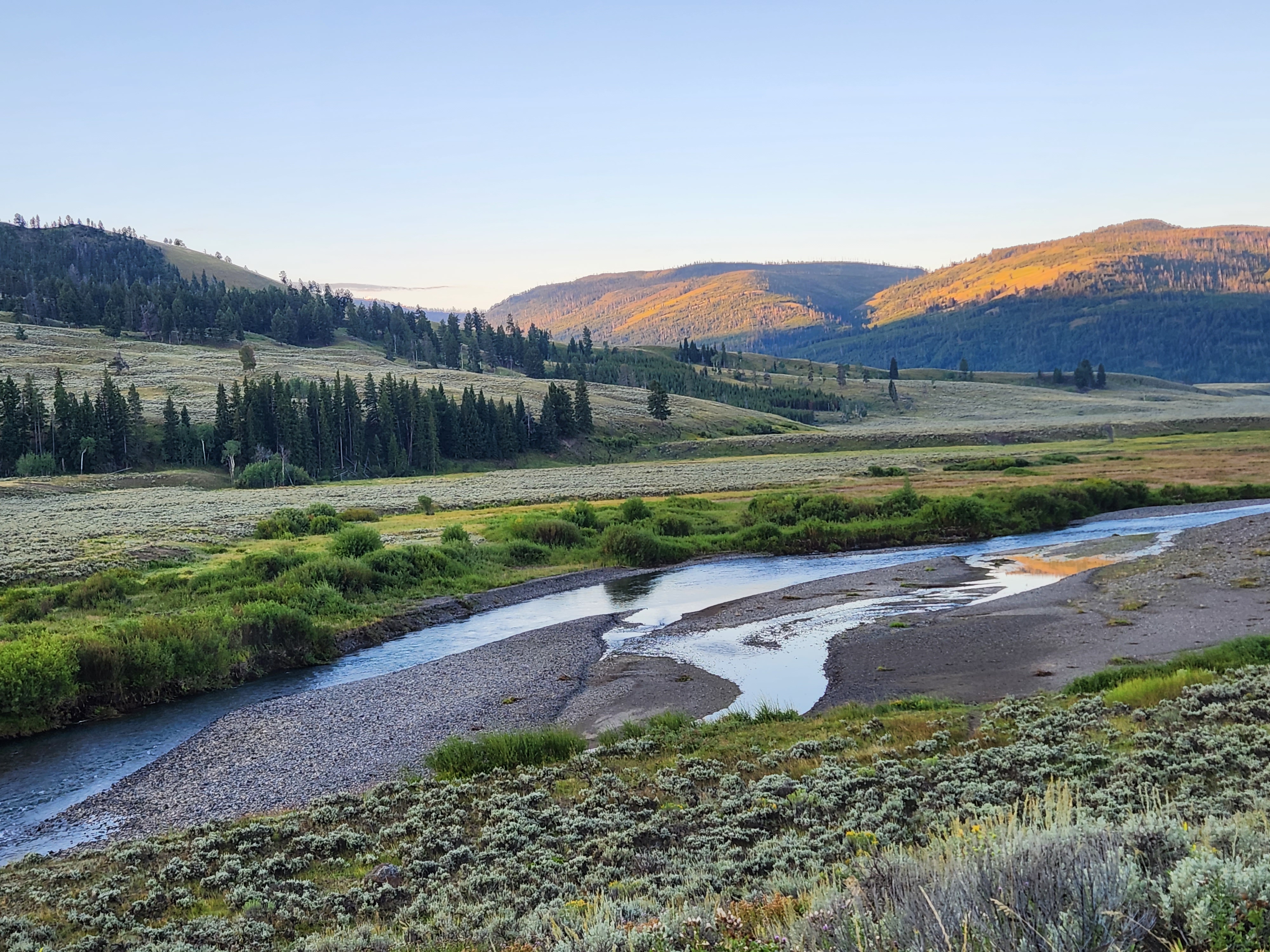 lamar valley